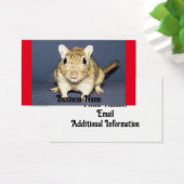 Alert Gerbil Visitekaartje (Bureau)