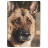 Alert German Shepherd Klembord (Achterkant)