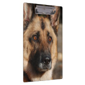 Alert German Shepherd Klembord (Rechts)