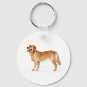 Alert Golden Retriever Sleutelhanger