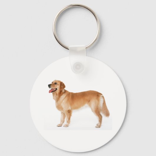 Alert Golden Retriever Sleutelhanger (Voorkant)