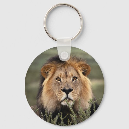 Alert Lion Sleutelhanger (Voorkant)
