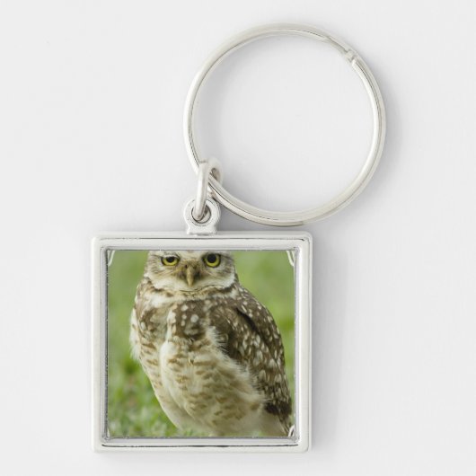 Alert Owl Sleutelhanger (Voorkant)