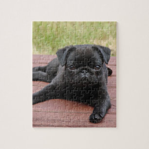 ALERT PUG PUPPY LEGPUZZEL