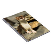 Alert Weasel Notitieboek (Rechterzijde)