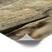 Alert Weasel Poster (Hoek)