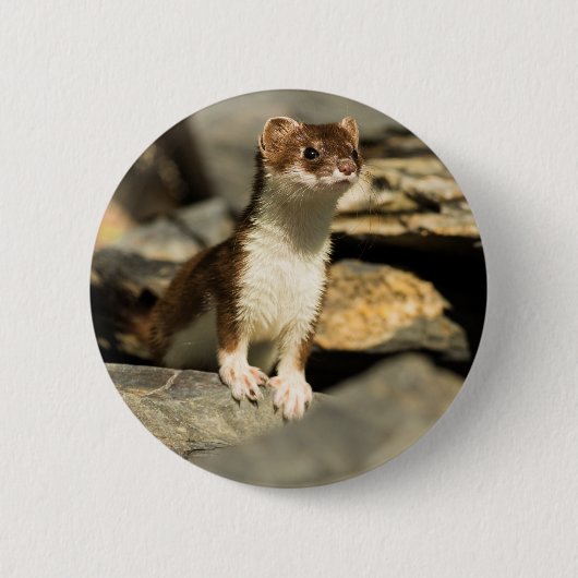 Alert Weasel Ronde Button 5,7 Cm (Voorkant)
