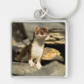 Alert Weasel Sleutelhanger (Voorkant)