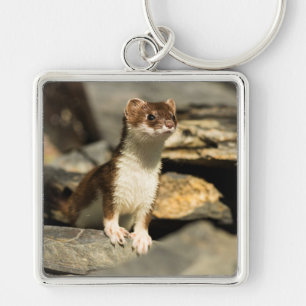Alert Weasel Sleutelhanger