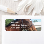 Alerte Arabian Horse Retourner Adresse Étiquette (En situation)