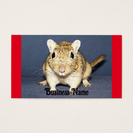 Alerte Carte de visite Gerbil (Devant)
