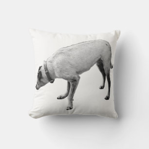 Alerte geest van Herfst Kussen