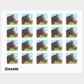 Alerte Stickers Cheval Arabe (Feuille)