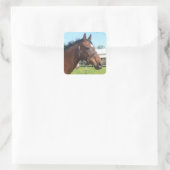 Alerte Stickers Cheval Arabe (Sac)