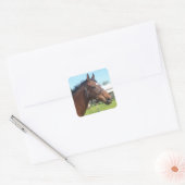 Alerte Stickers Cheval Arabe (Enveloppe)