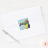 Alex les autocollants toucans (Enveloppe)