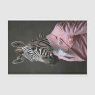 Alexander de Zebra Tissuepapier