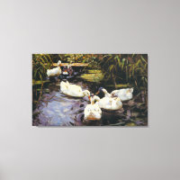  Alexander Koester Ducks op een Reed Pond