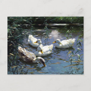 Alexander Koester Vier Eenden in de Pond Briefkaart