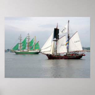 Alexander Von Humboldt II en Atyla Poster