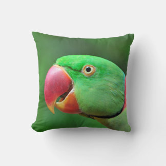 Alexandrine Parakeet Kussen