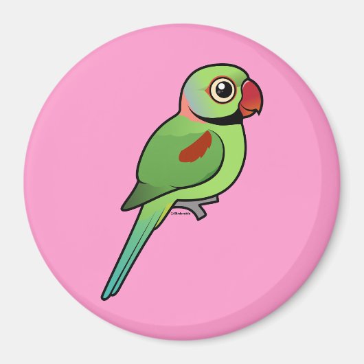 Alexandrine Parakeet Magneet (Voorkant)