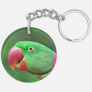 Alexandrine Parakeet Sleutelhanger