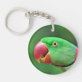 Alexandrine Parakeet Sleutelhanger (Voorkant)