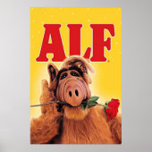 ALF POSTER (Voorkant)