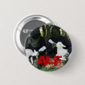 ALF RONDE BUTTON 5,7 CM (Voorkant /achterkant)