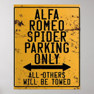 Alfa Romeo Spider Parkeren Alleen Poster