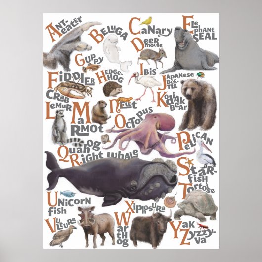 Alfaatdieren Poster (Voorkant)