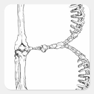 Alfabet Botletter B Vierkante Sticker