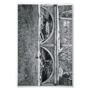 Alfabet Letter Photography B2 Black en White 4x6 Foto Afdruk