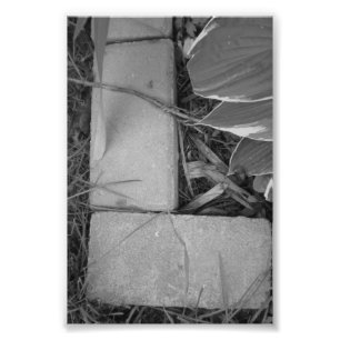 Alfabet Letter Photography L5 Black en White 4x6 Foto Afdruk
