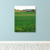 Alfalfa Field Canvas Afdruk (Insitu (Houten vloer))