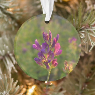 Alfalfa-ventilator Ornament