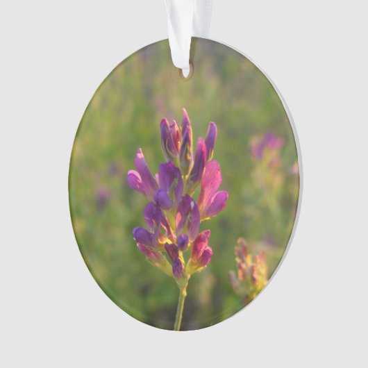 Alfalfa-ventilator Ornament (voorkant)