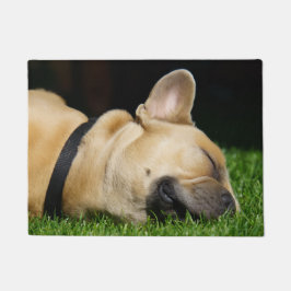 Alfombra de perro para hogar deurmat