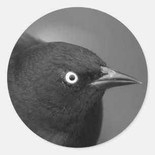 Alfred Hitchcock personage Ronde Sticker