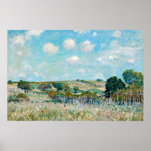 Alfred Sisley - De Weide Poster