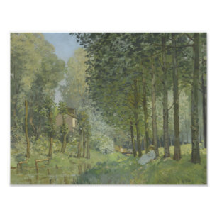 Alfred Sisley - Rest langs de Stream Foto Afdruk