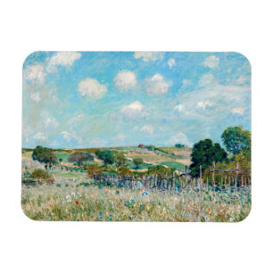 Alfred Sisley - The Meadow Magneet