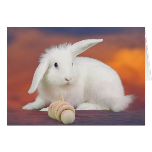 Alfredo (Devant horizontal)