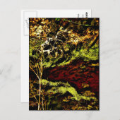 "Algae Canal Fallon" JTG Art Briefkaart (Voorkant / Achterkant)