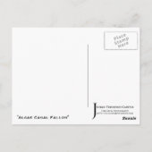 "Algae Canal Fallon" JTG Art Briefkaart (Achterkant)