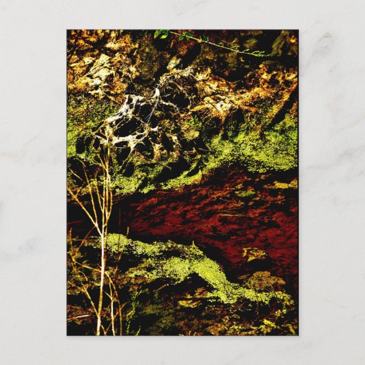 "Algae Canal Fallon" JTG Art Briefkaart (Voorkant)