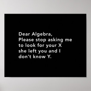 Algebra en zijn X Poster