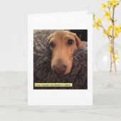 Algebra MillieGram Kaart (Gele Bloem)