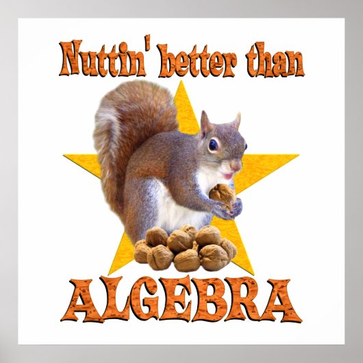 Algebra Squirrel Poster (Voorkant)